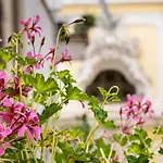 Casajammone 4* Nápoles