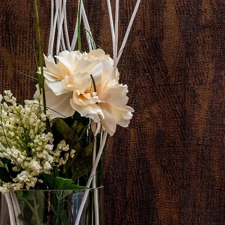 Bed & Breakfast Casajammone